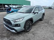 Toyota RAV4 Adventure 2021 Green for sale