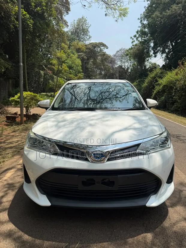 Toyota Axio 2018 White