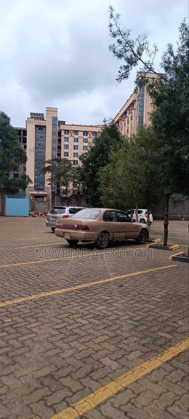 Toyota Corolla Sedan 1995 Brown