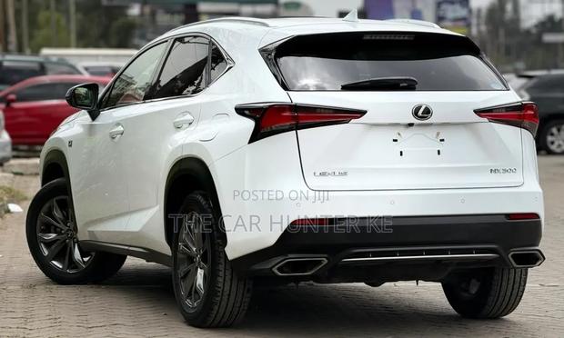 Lexus NX 2019 Pearl