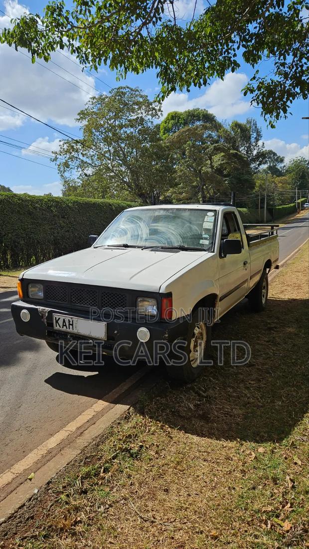 Nissan Hardbody 1996 White
