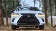 Lexus NX 300 FWD 2019 White for sale
