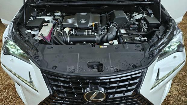 Lexus NX 300 FWD 2019 White