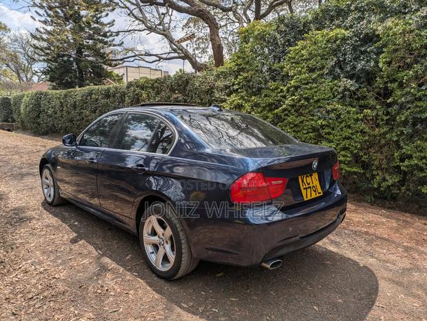 BMW 318i 2011 Blue