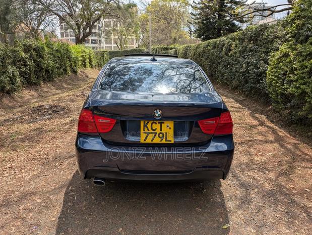 BMW 318i 2011 Blue