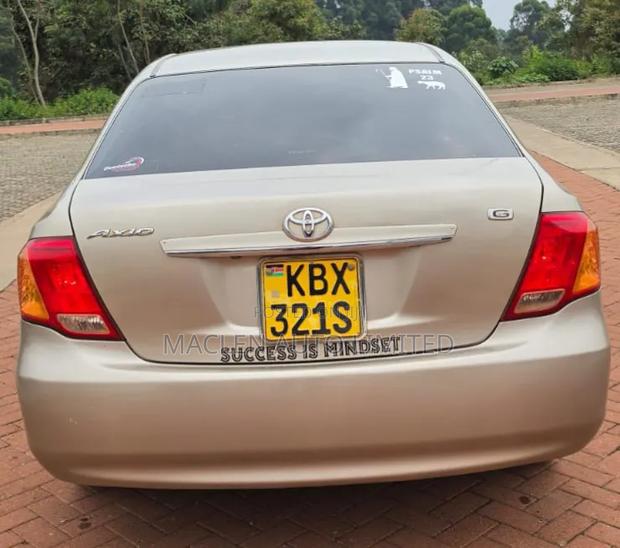 Toyota Axio 2007 Gold