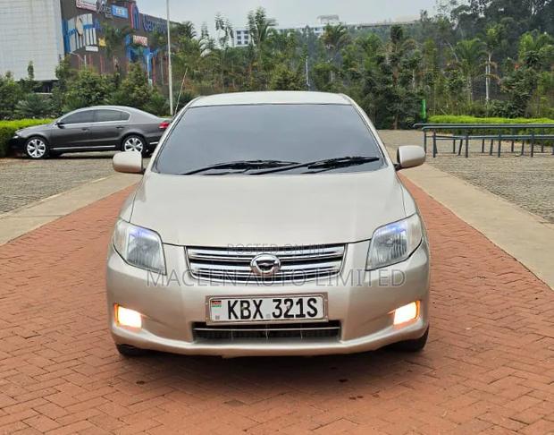Toyota Axio 2007 Gold