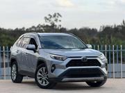 Toyota RAV4 LE AWD 2019 Silver for sale