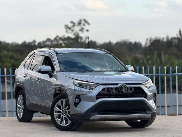 Toyota RAV4 LE AWD 2019 Silver