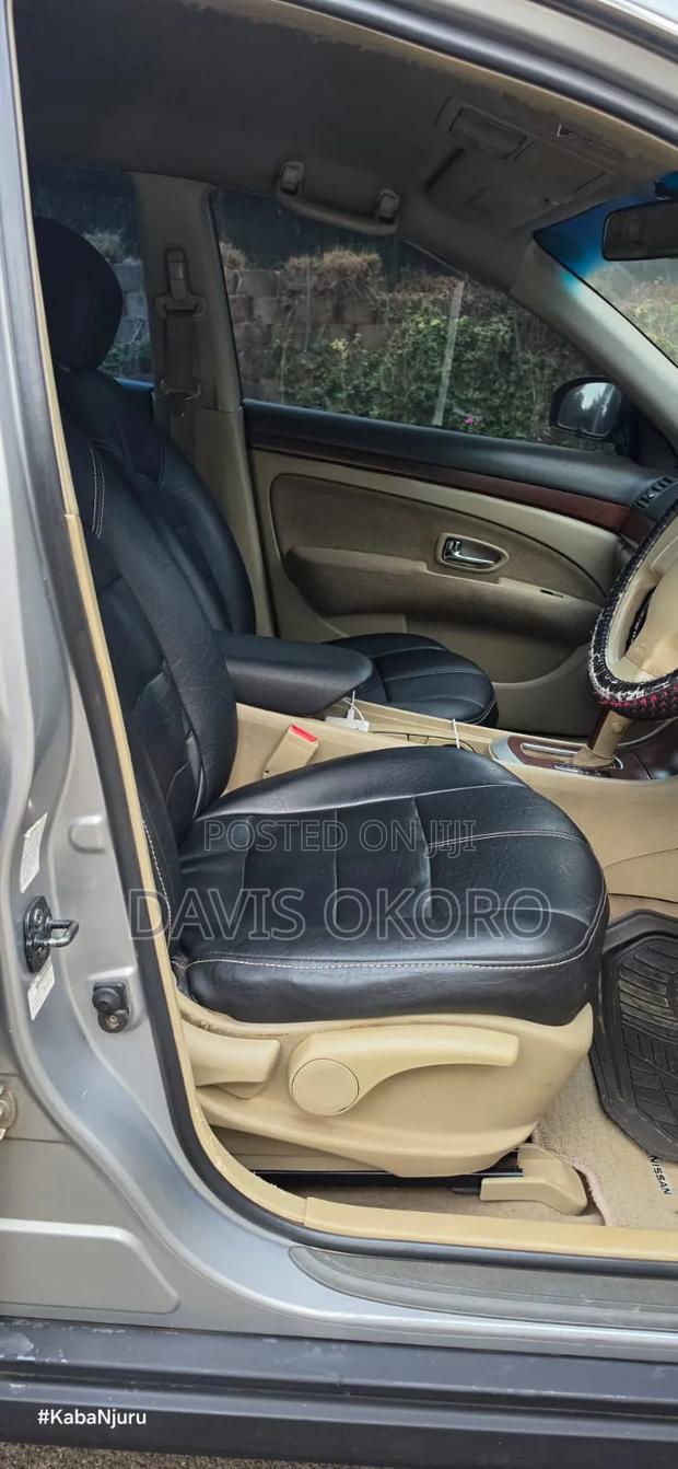 Nissan Sylphy 2010 Gray