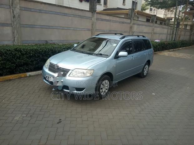 Toyota Corolla Fielder 2005 Silver
