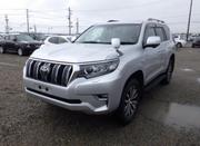 Toyota Land Cruiser 2019 Silver for sale