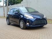 Toyota Vitz 1.5 FWD Hybrid 5dr 2019 Blue for sale
