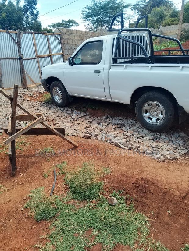 Nissan Hardbody 2003 White