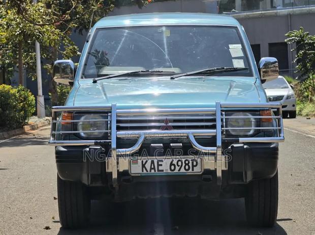 Mitsubishi Pajero 1995 Blue