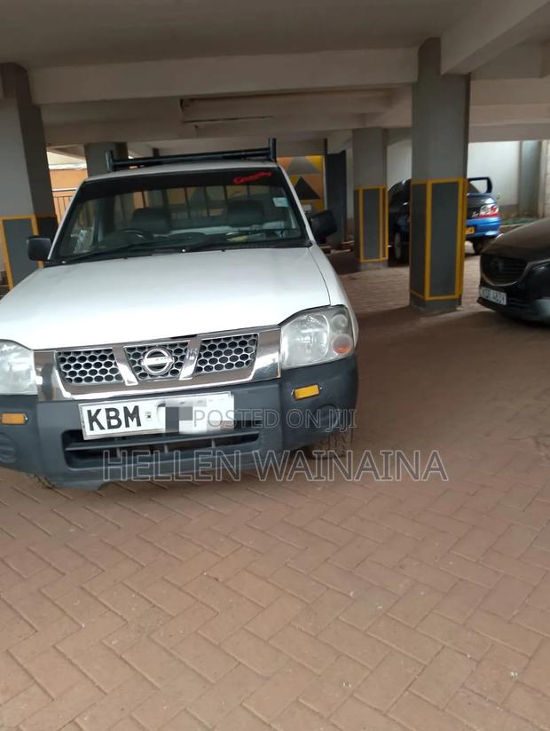 Nissan Hardbody 2005 White