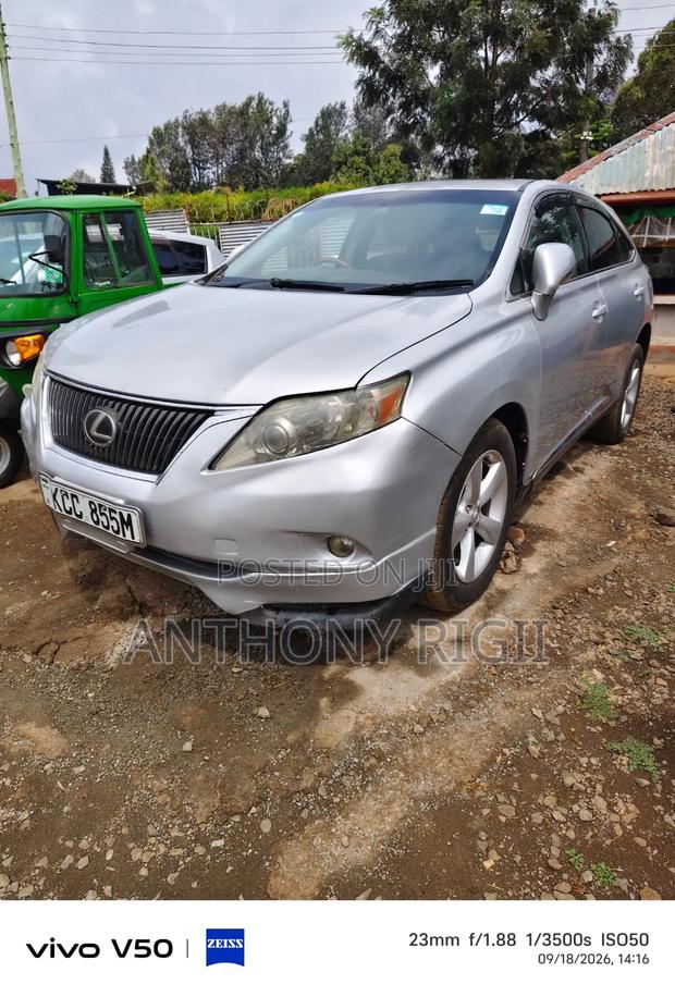 Lexus RX 350 2010 Silver