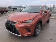 Lexus NX 300 AWD 2019 Orange for sale