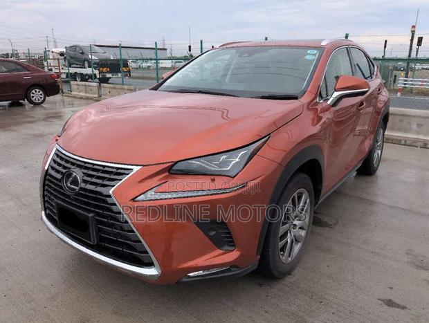 Lexus NX 300 AWD 2019 Orange
