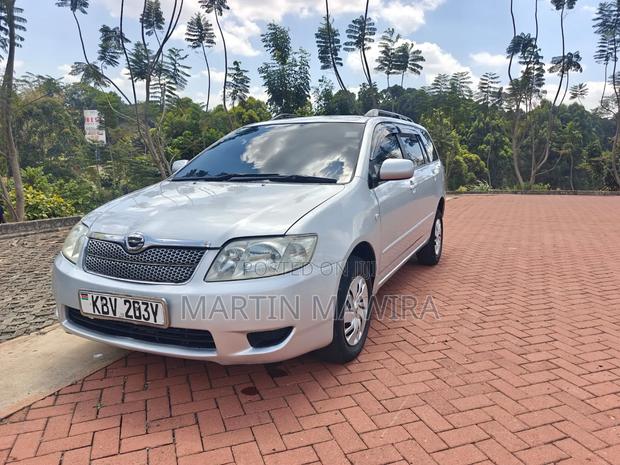 Toyota Corolla Fielder 2006 Silver