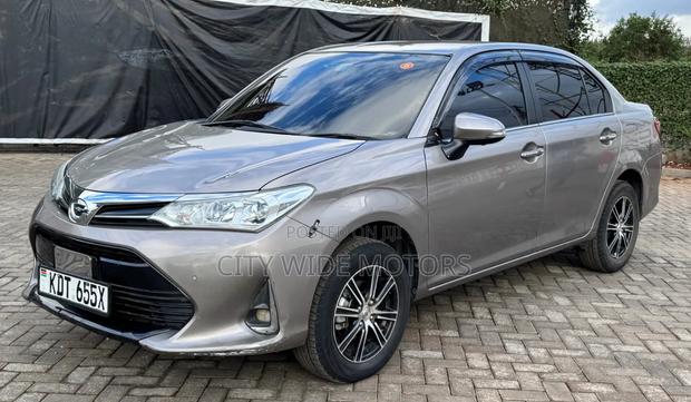 Toyota Axio 2019 Gray