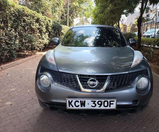 Nissan Juke 2012 Gray