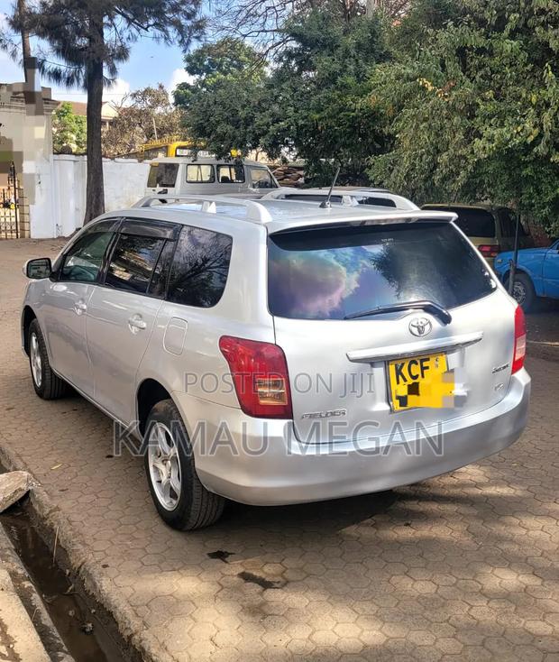 Toyota Corolla Fielder 2009 Silver