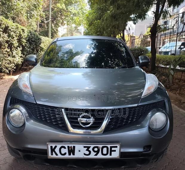 Nissan Juke 2012 Silver