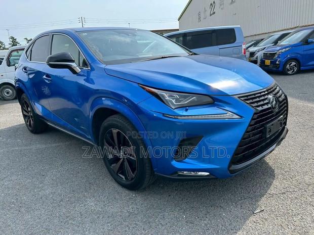 Lexus NX 300 AWD 2019 Blue