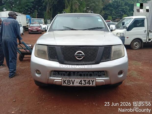Nissan Pathfinder Platinum 4x4 2013 Silver