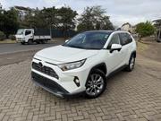 Toyota RAV4 Limited AWD 2019 White for sale