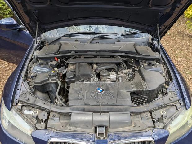 BMW 318i 2011 Blue