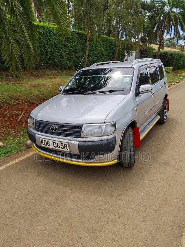 Toyota Probox 1.5 DX 2WD 2014 Silver