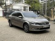 Volkswagen Passat 2014 Brown for sale