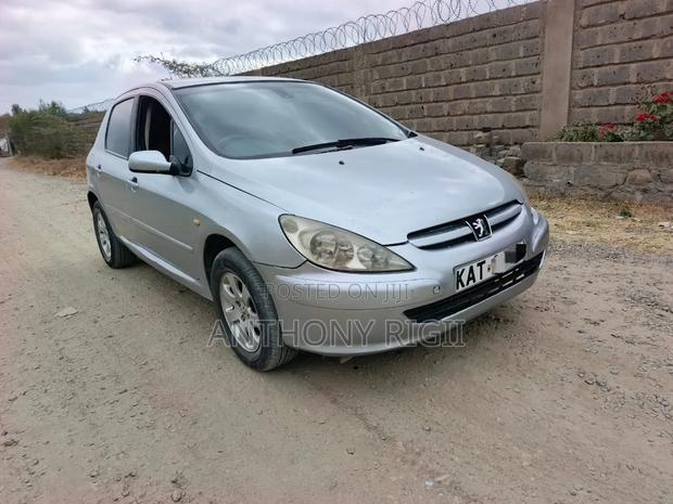 Peugeot 307 2002 Silver