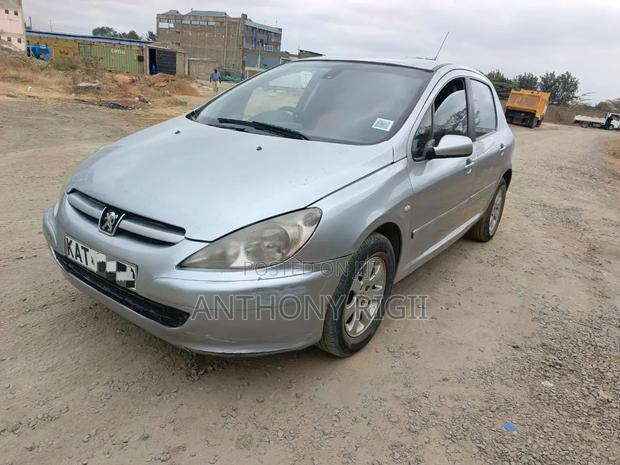 Peugeot 307 2002 Silver