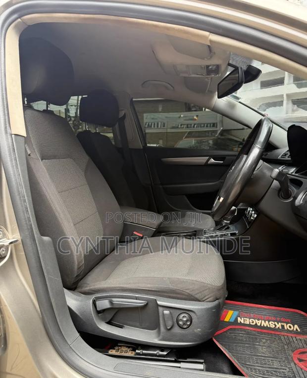 Volkswagen Passat 2014 Brown
