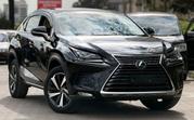 Lexus NX 300 AWD 2019 Black for sale