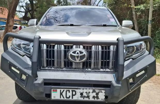 Toyota Land Cruiser Prado KAKADU 2011 Gray