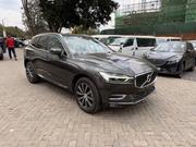 Volvo XC60 2019 Gray for sale