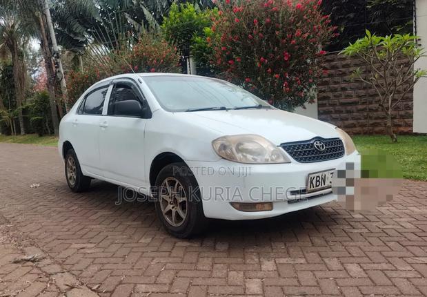 Toyota Corolla 2004 White