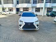 Lexus NX 2019 for sale
