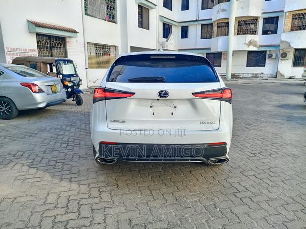 Lexus NX 2019