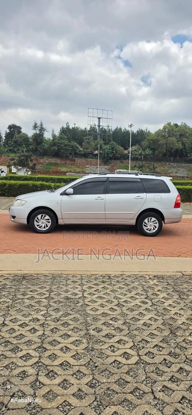 Toyota Corolla Fielder 2006 Silver
