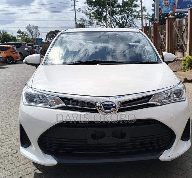 Toyota Corolla Fielder 2019 White