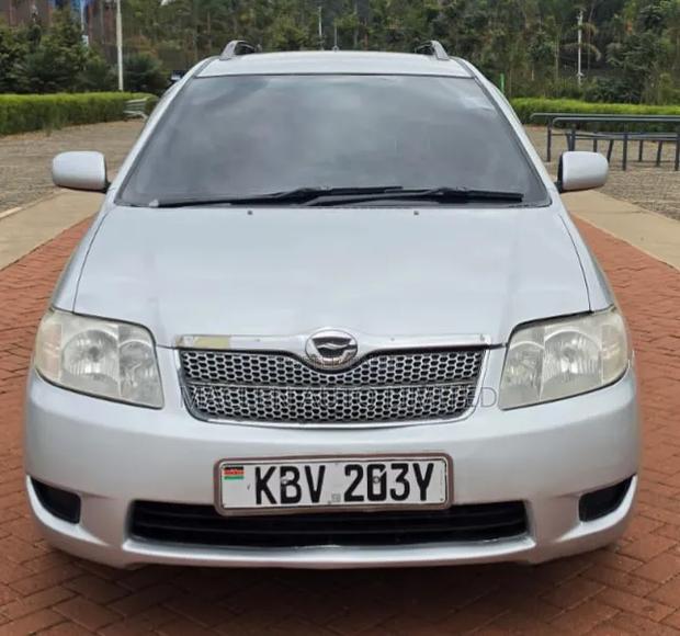 Toyota Corolla Fielder 2006 Silver