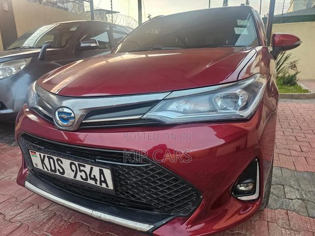 Toyota Corolla Fielder 2019 Burgundy