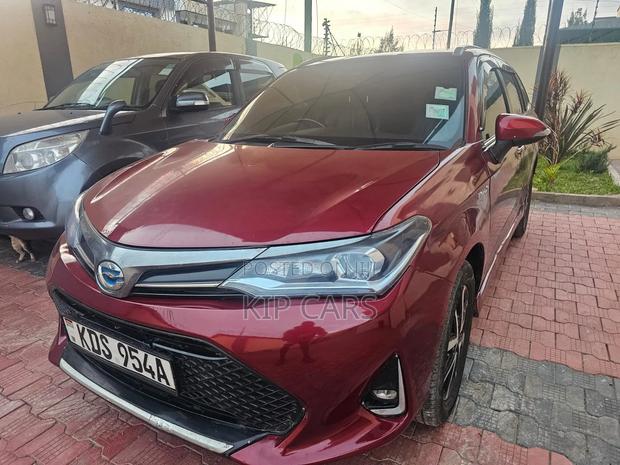 Toyota Corolla Fielder 2019 Burgundy