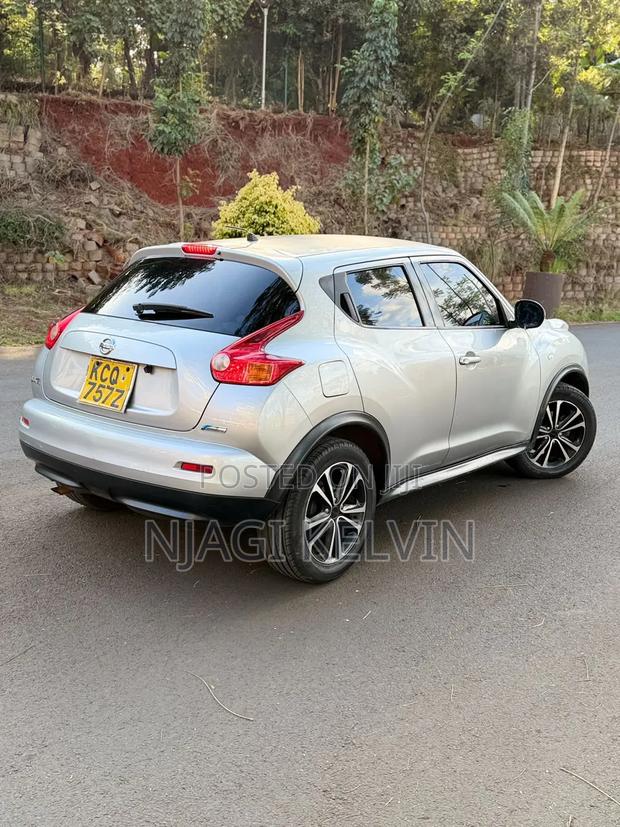 Nissan Juke 2012 Silver