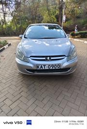 Peugeot 307 1.6 Premium 2005 Gray for sale